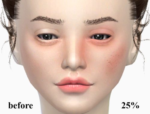 Fairy Dust Blush