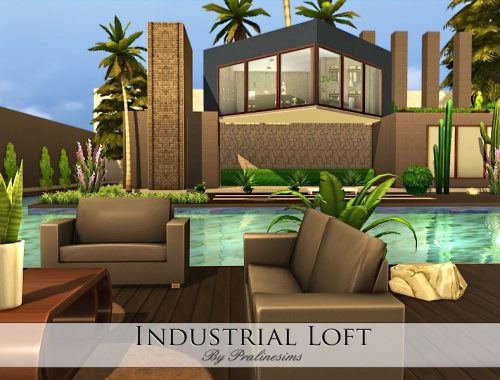 Industrial Loft