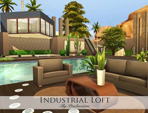 Industrial Loft