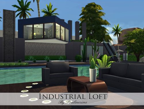Industrial Loft