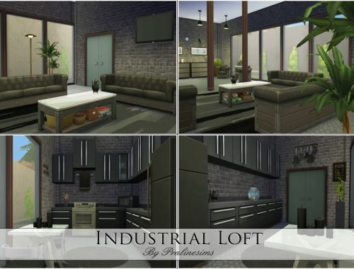 Industrial Loft