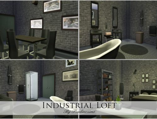 Industrial Loft