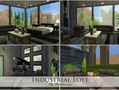 Industrial Loft