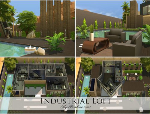 Industrial Loft