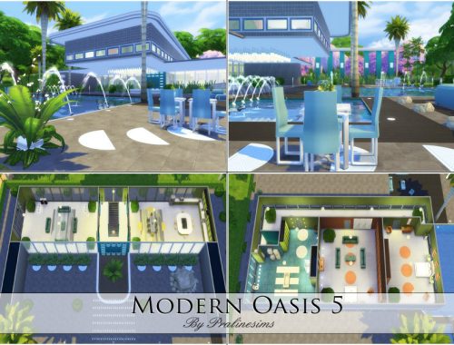 Modern Oasis 5