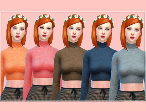 Turtleneck crop top