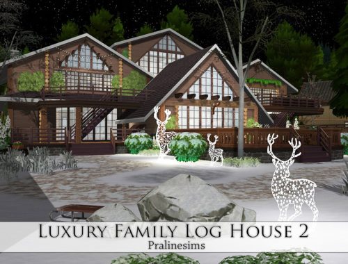 Luxury Family Log House 2