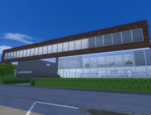 Modern Mega-Mansion