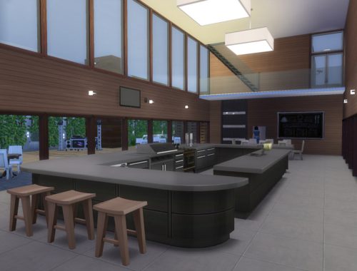 Modern Mega-Mansion