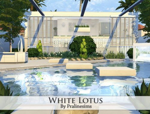 White Lotus