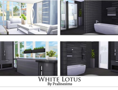 White Lotus