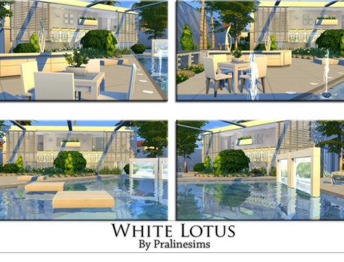 White Lotus