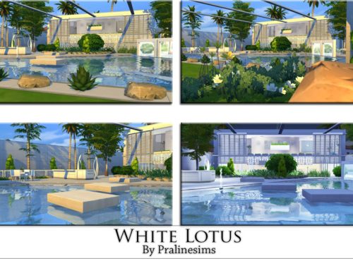 White Lotus