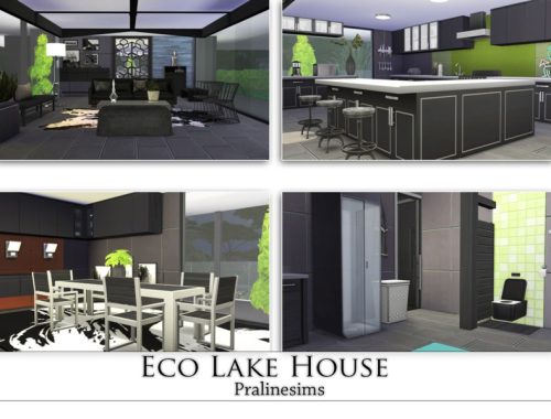 Eco Lake House