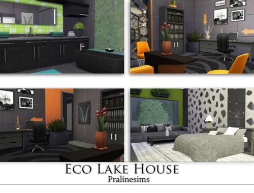 Eco Lake House