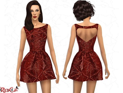 Metallic Shiny Dress