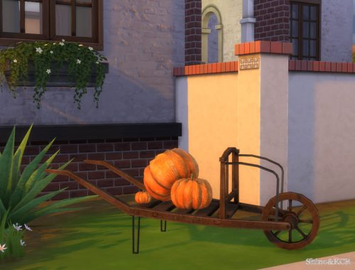 Halloween 2015