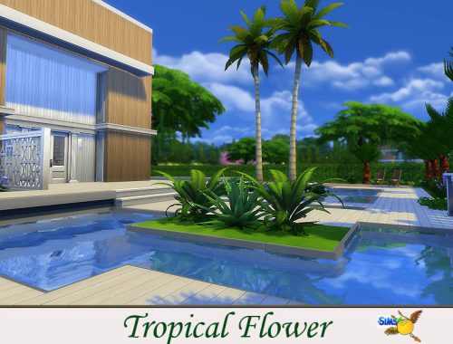 evi Tropical Flower