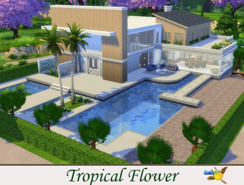 evi Tropical Flower