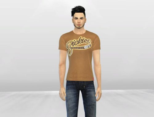 Dickies T-Shirts
