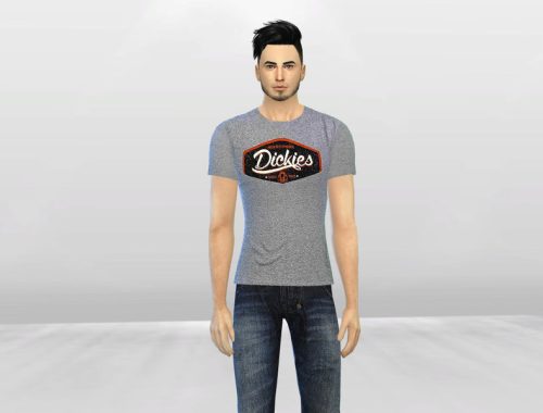 Dickies T-Shirts