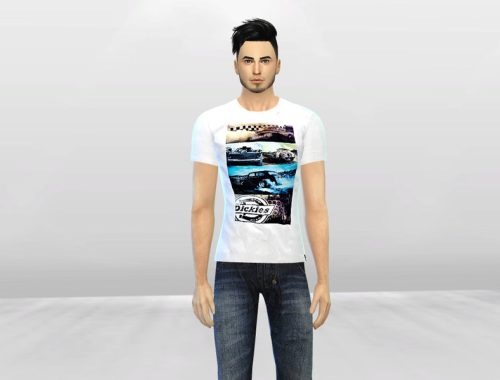 Dickies T-Shirts