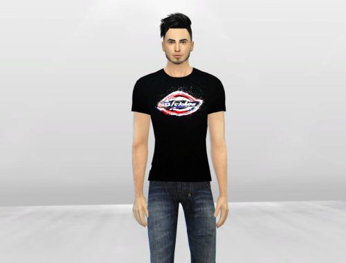 Dickies T-Shirts