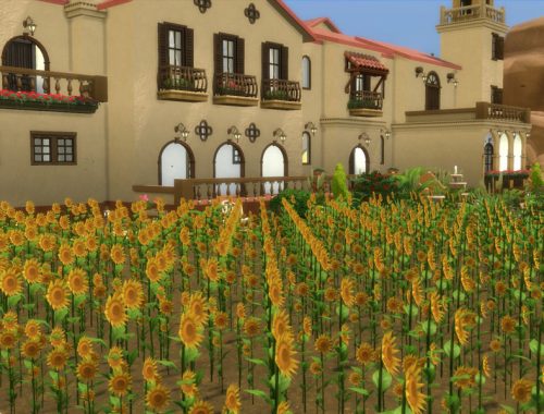 Hacienda Milagros