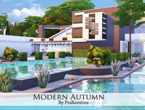 Modern Autumn
