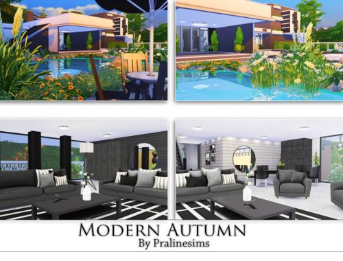 Modern Autumn