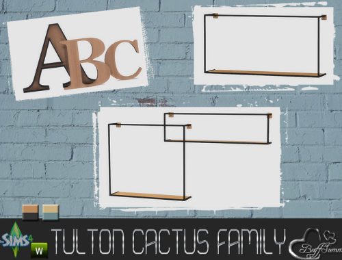 Tulton Cactus Family