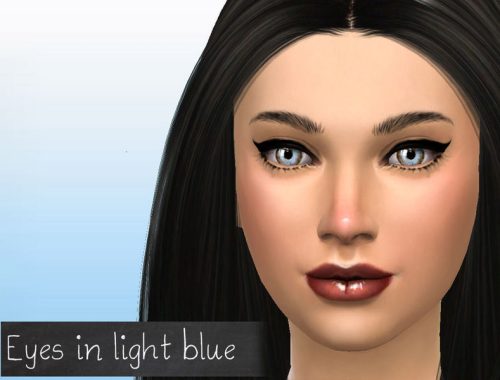 Victorias Fortune Color Blend Eye Collection