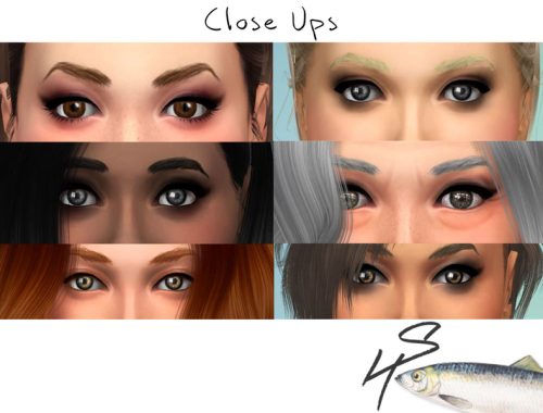 SecondaryHerring - Eyebrows 1