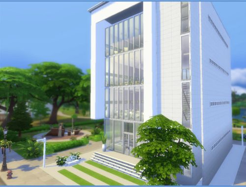 Cultura | Modern Library