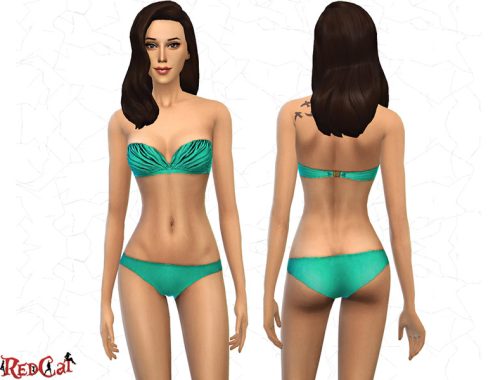 Strapless Bikini Set