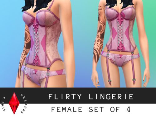 Female Set of 4 Lingerie