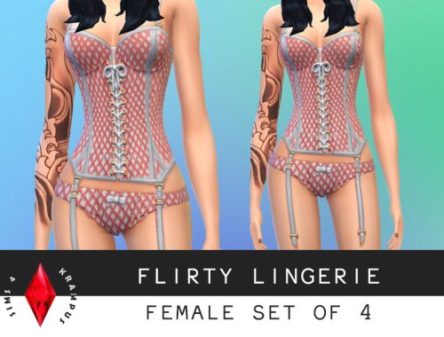 Female Set of 4 Lingerie