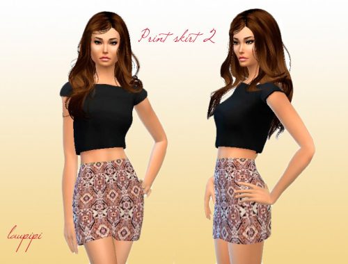 Print Skirt Set
