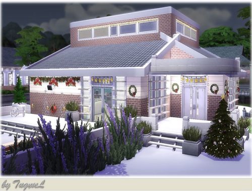 S4-Christmas House-2015