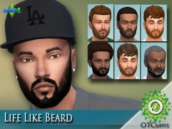 Life Like Beard - The Sims 4 Catalog