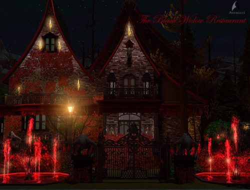 The Black Widow Restaurant & Bar (No CC)
