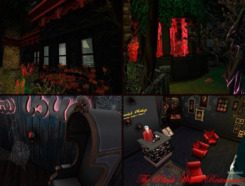 The Black Widow Restaurant & Bar (No CC)