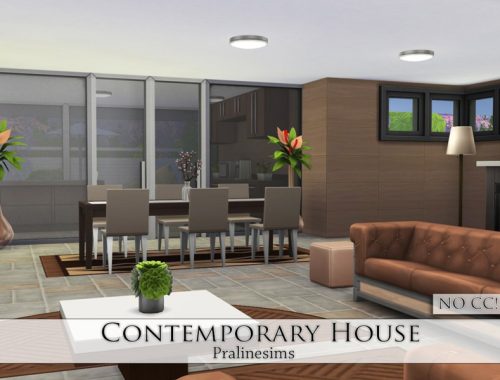 Contemporary House