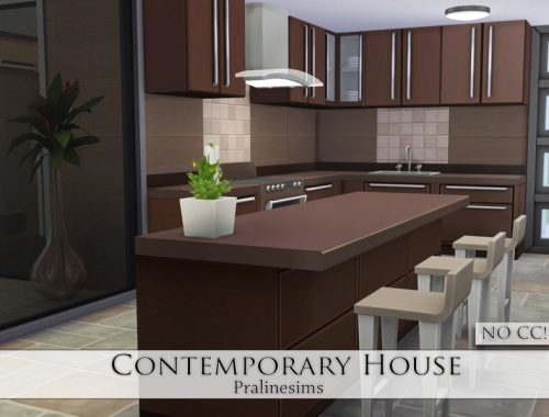Contemporary House