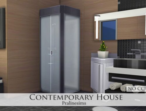 Contemporary House
