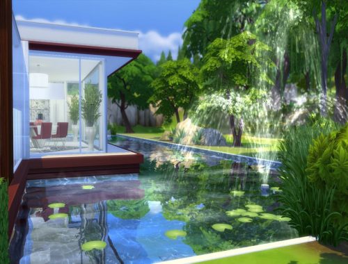 Modern Pool House