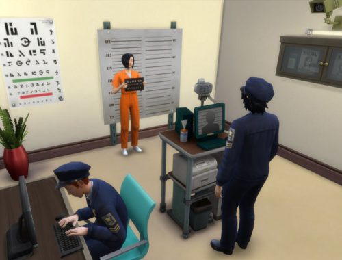 The Police