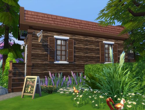 Gypsy Elixir Shop