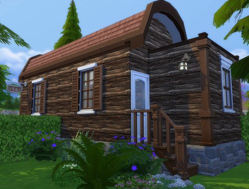 Gypsy Elixir Shop