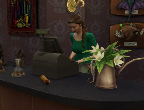 Gypsy Elixir Shop
